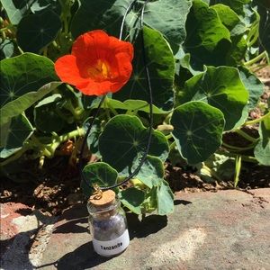 Crystals (Tanzanite) In A Bottle Mini